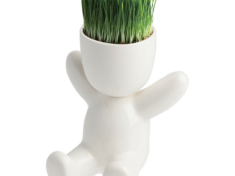 Набор для выращивания Funky Kid