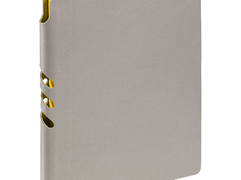 Ежедневник Flexpen, недатированный, серебристо-желтый