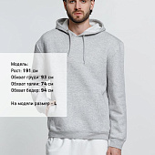 Худи унисекс Phoenix, серый меланж