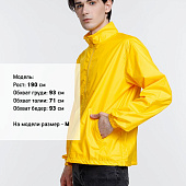 Ветровка Kivach, желтая