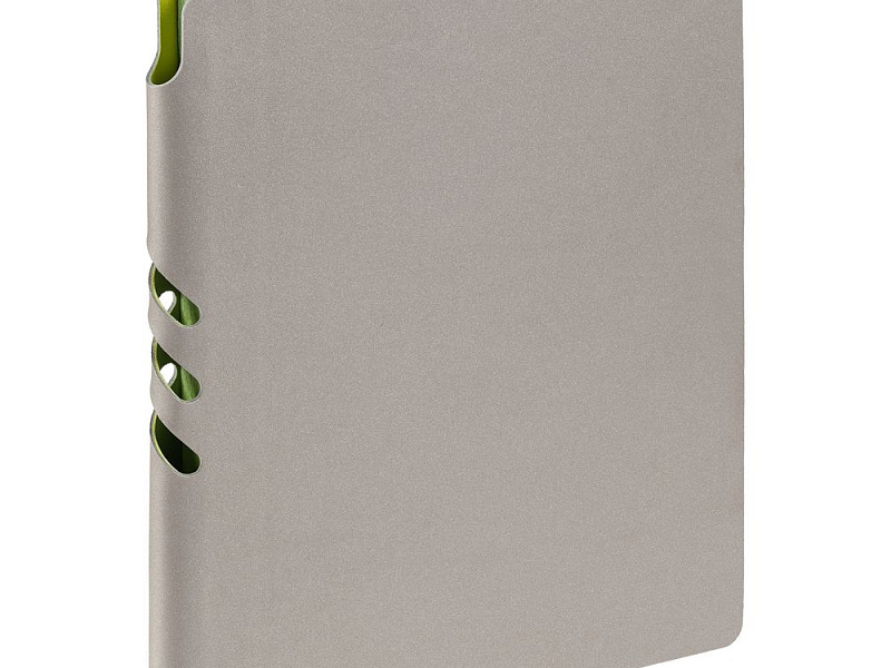 Ежедневник Flexpen, недатированный, серебристо-зеленый