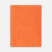 Ежедневник в суперобложке Brave Book, недатированный, оранжевый