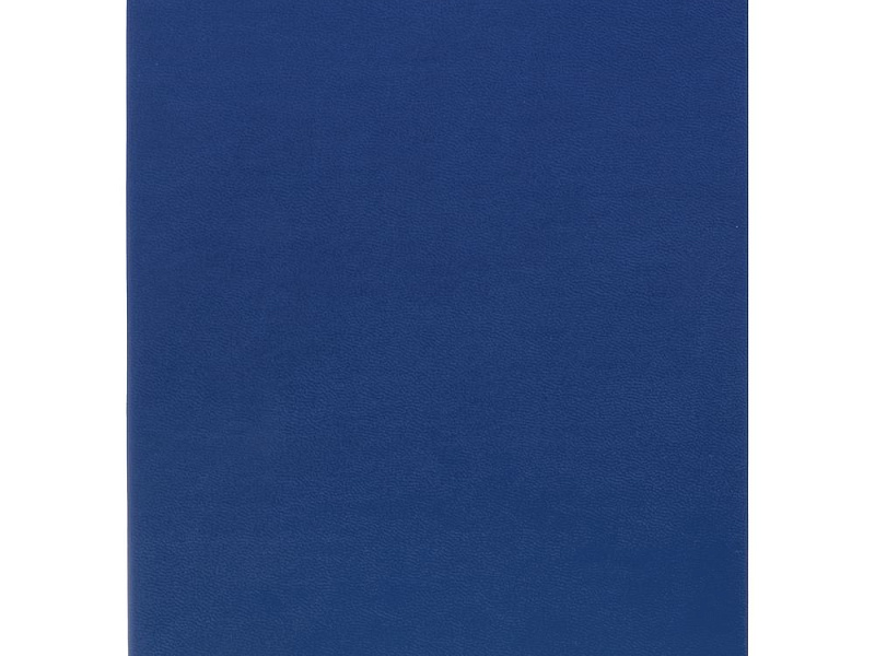 Ежедневник Flat Light, недатированный, синий