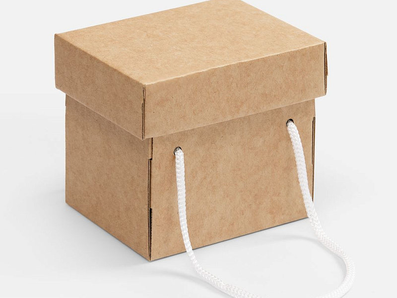Коробка Kitbag, ver.2, крафт