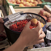 Термосумка Coolerbag S, синяя