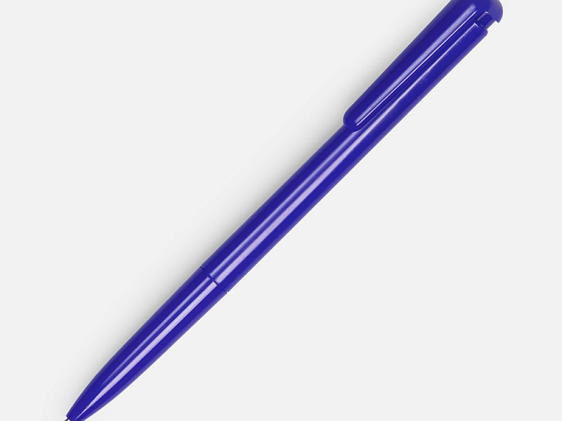 Ручка шариковая Penpal, синяя