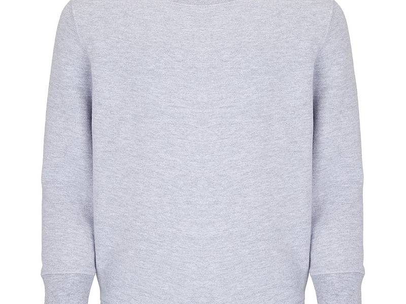 Свитшот детский Columbia Kids, серый меланж