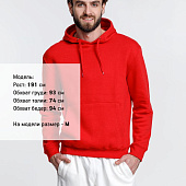 Худи унисекс Phoenix, красное