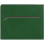 Чехол для карточек Petrus, зеленый