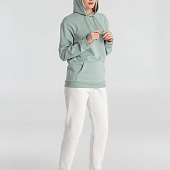 Толстовка с капюшоном унисекс Hoodie, серо-зеленая