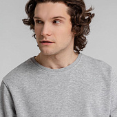 Свитшот унисекс BNC Inspire (Organic), серый меланж