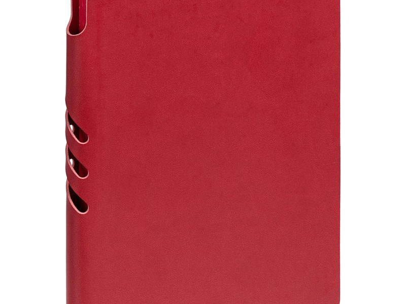 Ежедневник Flexpen Color, датированный, красный