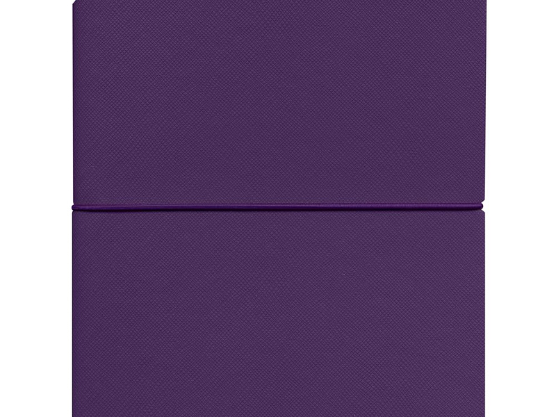 Ежедневник Flexpen Bright, недатированный, фиолетовый