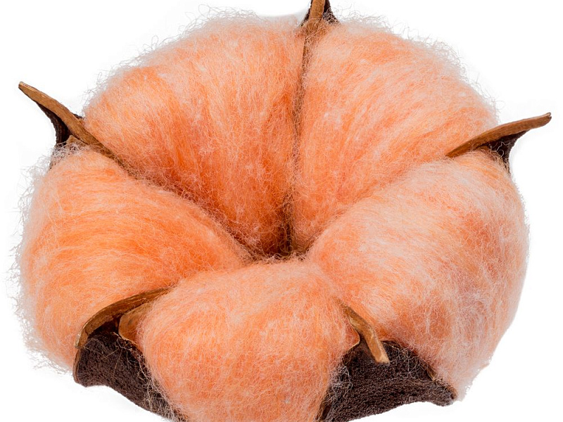 Цветок хлопка Cotton, оранжевый