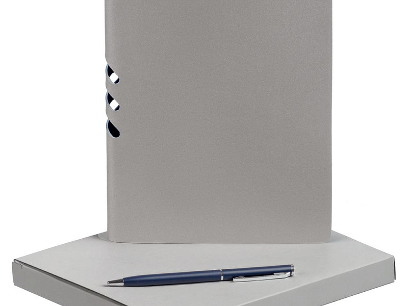 Набор Flexpen, серебристо-синий