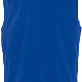 Жилет мужской софтшелл Rallye Men ярко-синий