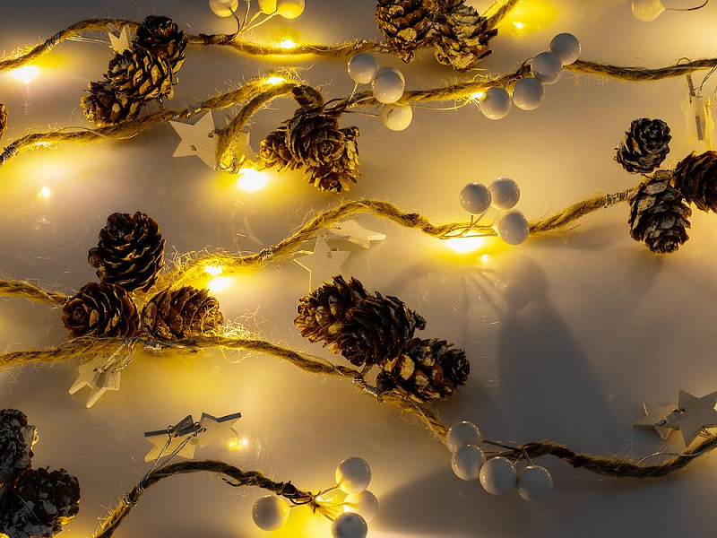 Светодиодная гирлянда Cones and Berries