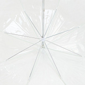 Прозрачный зонт-трость Clear