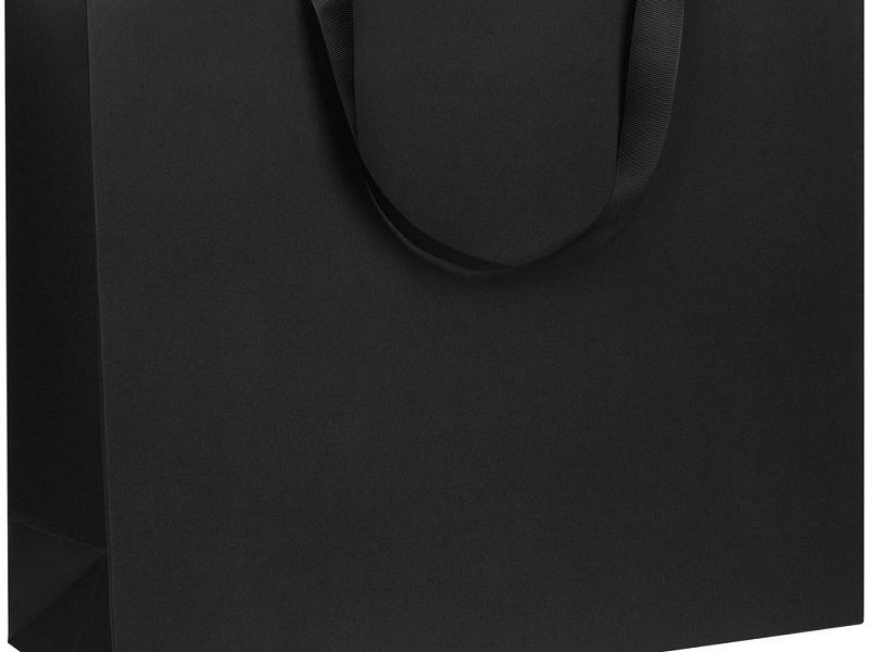 Пакет бумажный Manilla L, черный