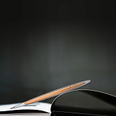 Вечная ручка Cambiano Cedarwood