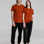 Футболка Imperial 190, коричневая (терракотовая)