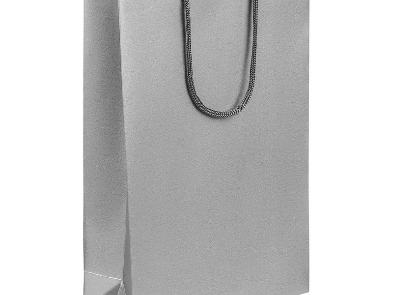 Пакет бумажный «Блеск», средний, серебристый