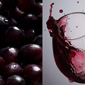 Бокал для вина «Энотека»