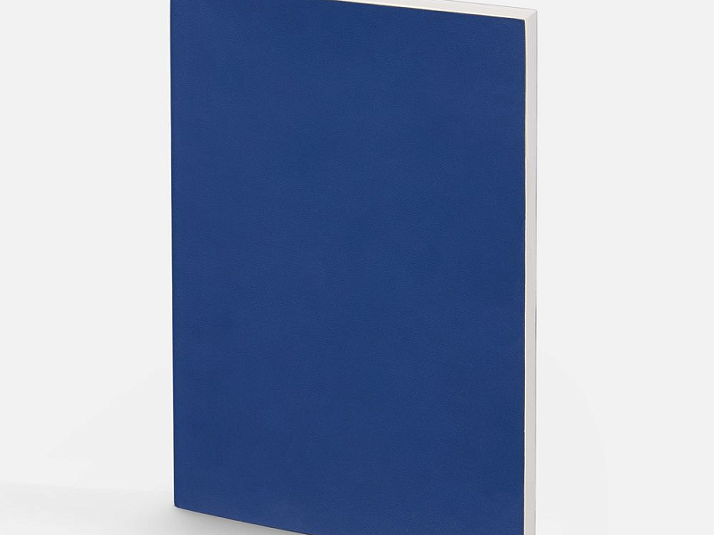 Ежедневник Flat Light ver.2, недатированный, синий