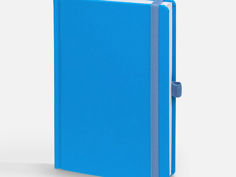 Ежедневник Favor, недатированный, голубой
