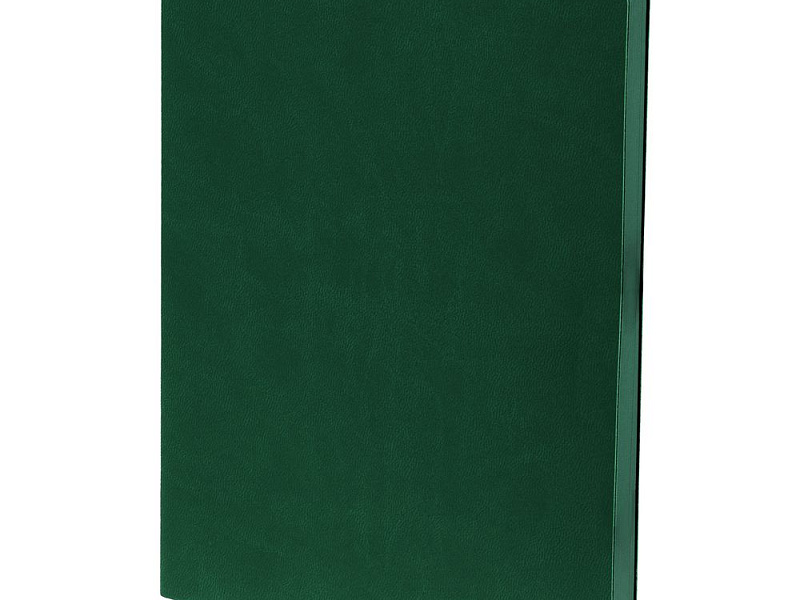 Ежедневник Fredo, недатированный, зеленый