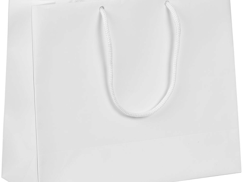 Пакет бумажный Ample Plus S, белый