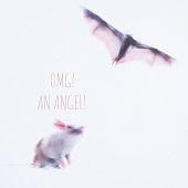 Футболка женская An Angel, белая