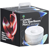 Умная колонка SberBoom Mini 2, серая