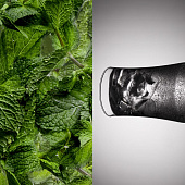 Бокал для пива Tulip