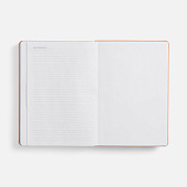 Ежедневник Basis, датированный, оранжевый