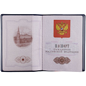 Обложка для паспорта Dorset, синяя