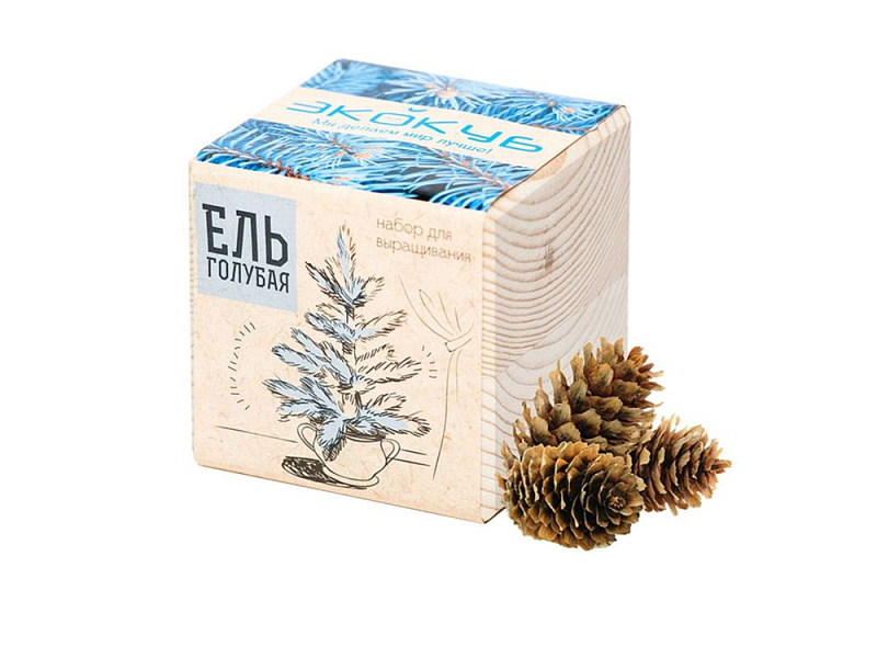 Набор для выращивания «Экокуб», ель голубая