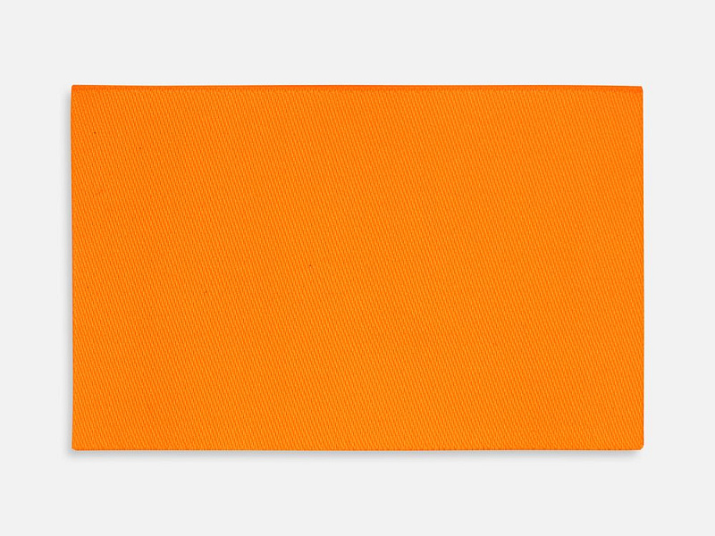 Лейбл тканевый Epsilon, XL, оранжевый неон