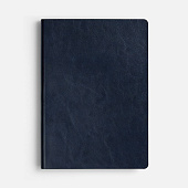 Ежедневник Doppio, недатированный, синий с голубым