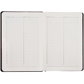 Ежедневник Alanis, недатированный, черный с синим