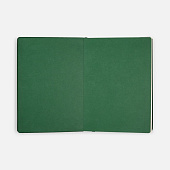 Ежедневник Shall, недатированный, зеленый