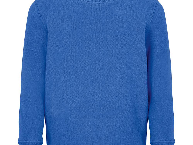 Свитшот детский Columbia Kids, ярко-синий (royal)
