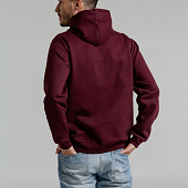 Толстовка с капюшоном Snake II бордовая