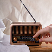 Bluetooth-колонка с радио Beatnik, коричневая