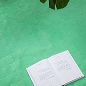 Плед для пикника Soft & Dry 2, светло-зеленый