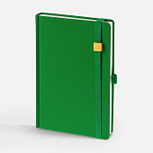 Ежедневник Favor Gold, недатированный, ярко-зеленый