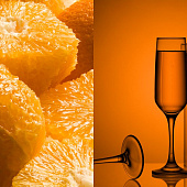 Бокал для шампанского Isabella