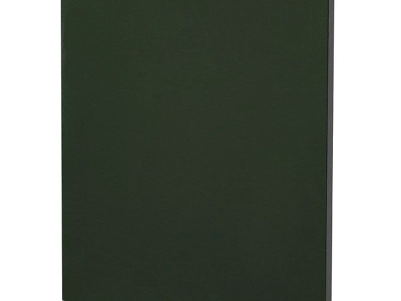 Ежедневник Flat Maxi, недатированный, зеленый