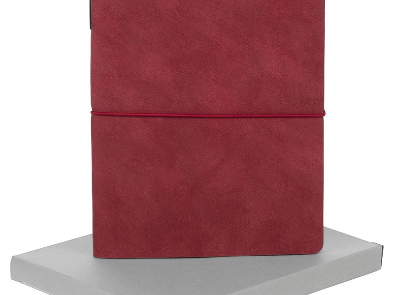 Набор Business Diary, красный