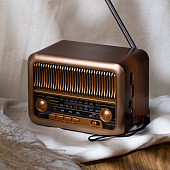 Bluetooth-колонка с радио Beatnik, коричневая